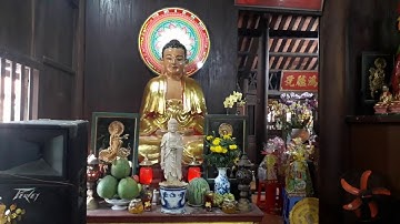 Mùng 2 đến ngôi chùa cổ nhất Long An trên 200 năm tại Cần Giuộc (chùa Tôn Thạnh)