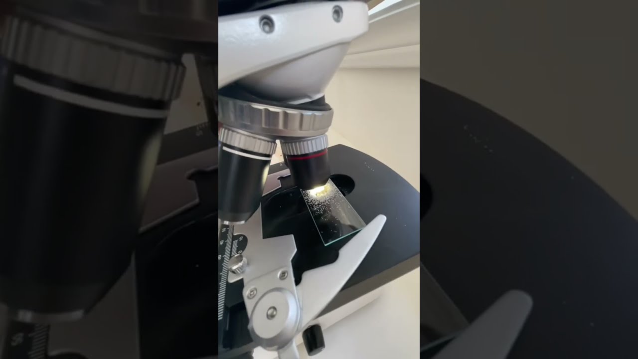 Magnified sand grains under a microscope