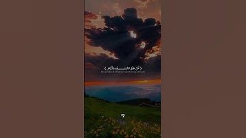 تلاوه رائعه من سورة النمل | للقارئ احمد صلاح 🤍🐜 #القرآن_الكريم #quran