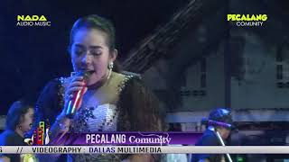 NEW BRAHMA #Devialdiva @ Ngomong Apik Apik