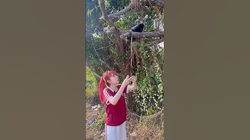 Nhặt được của rơi nhưng không có của ? #samsam #shorts #besun