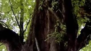 Wonogiri Gunung Gandul #auracerahfoto 