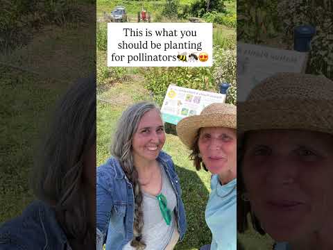 How to Plant an Amazing Pollinator Garden🐝🌸