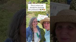 How to Plant an Amazing Pollinator Garden🐝🌸