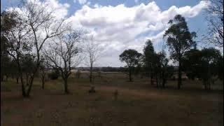 #0198 The Window | #TimeLapseProject | 2025-10-14 | [15/10/2025 0557]