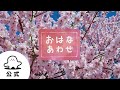 赤ちゃんが喜ぶ シナぷしゅ公式おはなあわせまとめ2 テレビ東京x東大赤ちゃんラボ 赤ちゃんが泣き止む 知育の動画 赤ちゃんが喜ぶ シナぷしゅ公式おはなあわせまとめ2 テレビ東京x東大赤ちゃんラボ 赤ちゃんが泣き止む 知育の動画