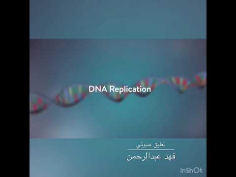 طريقة تضاعف ال DNA شرح باللغة العربية