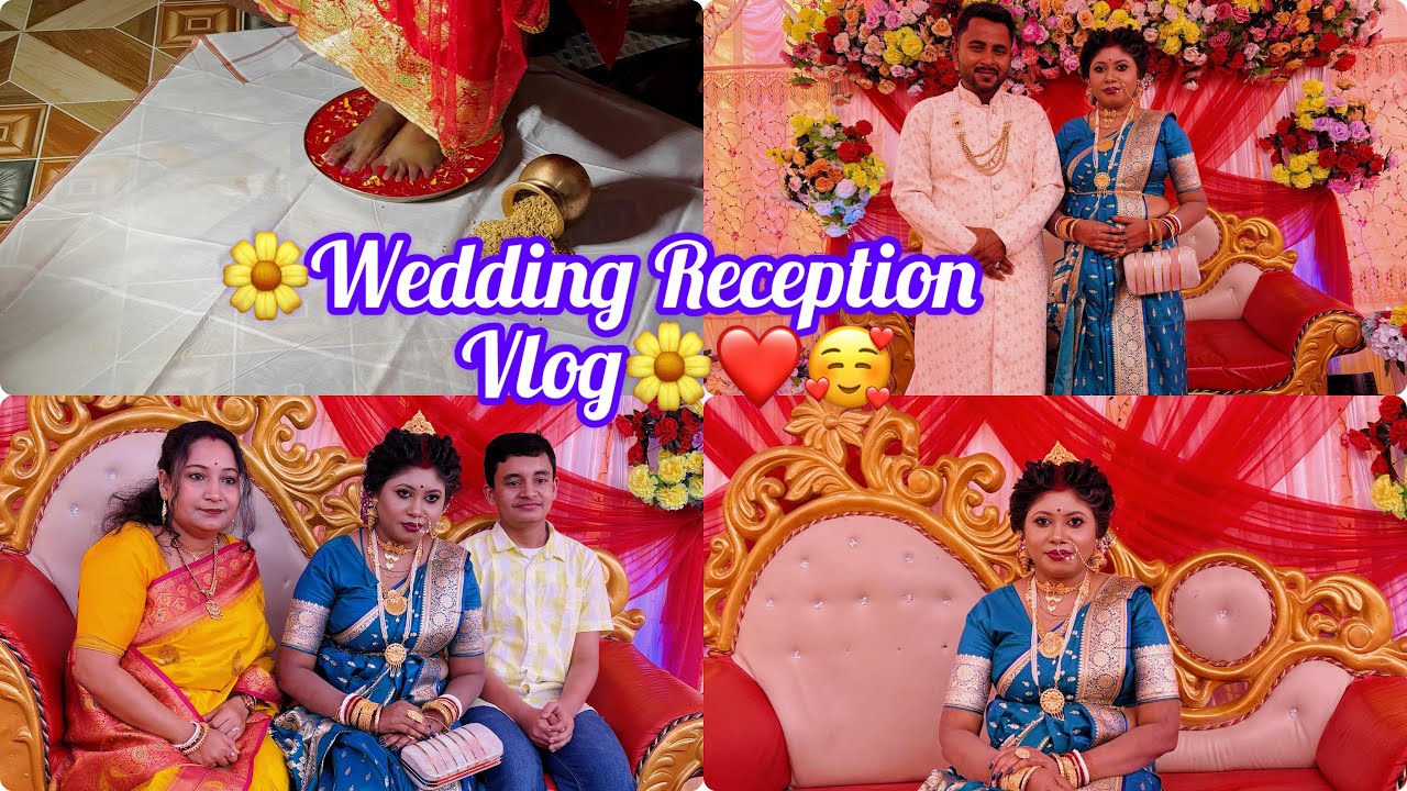 ভাইয়ের বিয়ের Last Vlog(Reception Vlog)