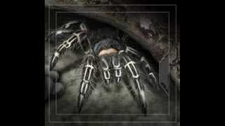 Pendulum Tarantula (Intro as Long Cut Version)