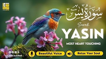 Surah Yasin (Yaseen) سورة يس ✦ Beautiful voice heart touching ✦ Peaceful Quran For Sleep ✦ Alaa Aqel