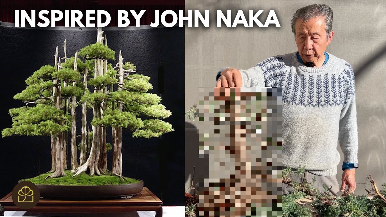 First Steps to Making a Huge Bonsai Forest Heirloom for my Grandchildren  (Part 2)