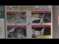 [標津サーモン科学館] チョウザメ指パク体験 feed sturgeons