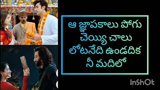 ANIMAL:Kashmeeru (Audio) | Ranbir K,Rashmika,Anil K,Bobby D| Sandeep V| Shreya G,Yazin N
