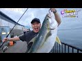 台風の中で幻の巨大魚を釣り上げる