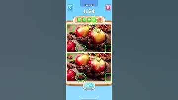 Can You Spot It Level 41