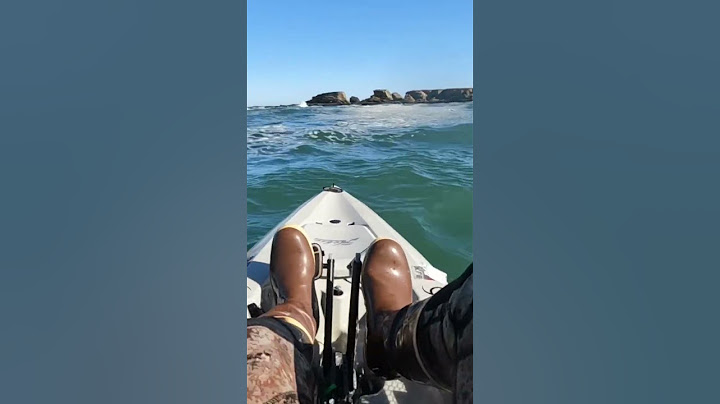 Was that a Great White Shark Exploding the Surface Under My Kayak? Hopefully just a Sea Lion