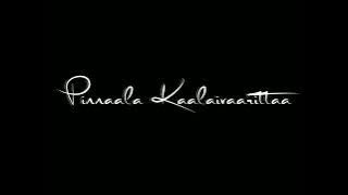 💞Bagheera - Pattukottai Ammalu Remix Song🥰 | Lyrics Black Screen WhatsApp Status Tamil |@Salmi Editz
