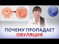 Отсутствие овуляции. Почему отсутствует овуляция. Причины ановуляторных циклов. Топчая О.Ю.