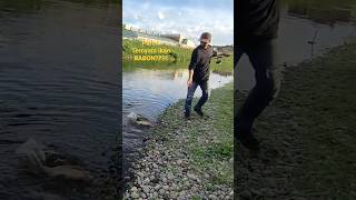 Download Lagu PART II MANG GODEG STRIKE IKAN BABON || TERNYATA IKAN KOI BABON 😁 #fishing #mancingdijepang #shorts MP3