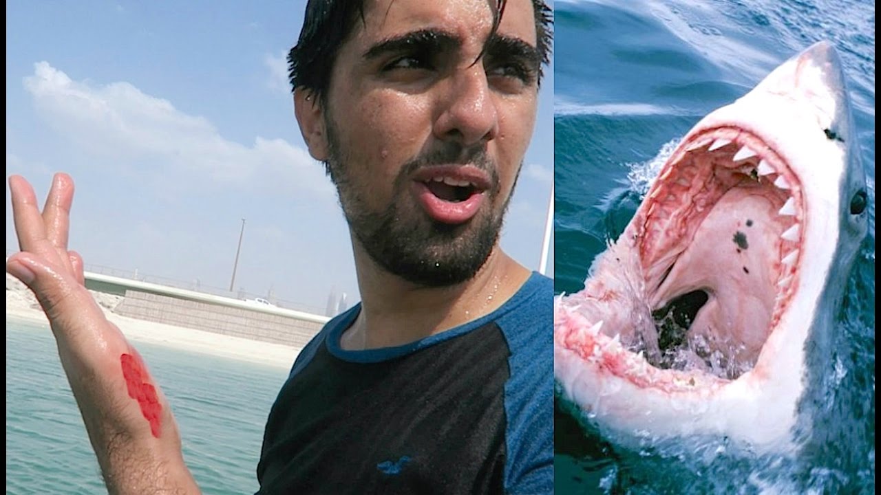 I GOT ATTACKED BY A SHARK ?!!
