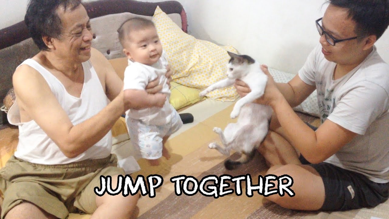 JUMP WITH CAT LOMPAT BERSAMA KUCING Cute Baby Bayi Lucu