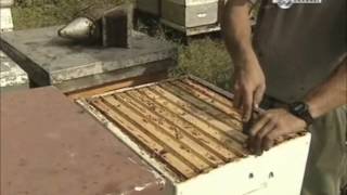How it's made - Honey