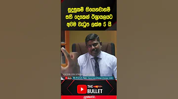 Israyal Caregiver Slbfe The Bullet Job Visa Shorts 