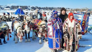 День оленевода в Ханты-Мужи | Северный колорит