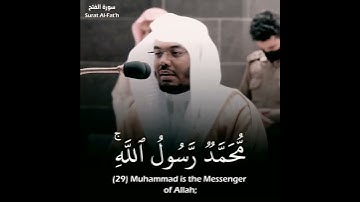 (محمد رسول الله) تلاوة خاشعة للشيخ ياسر الدوسري حالات واتس | Sheikh Yasser Al-Dossary - Quran Karim👇