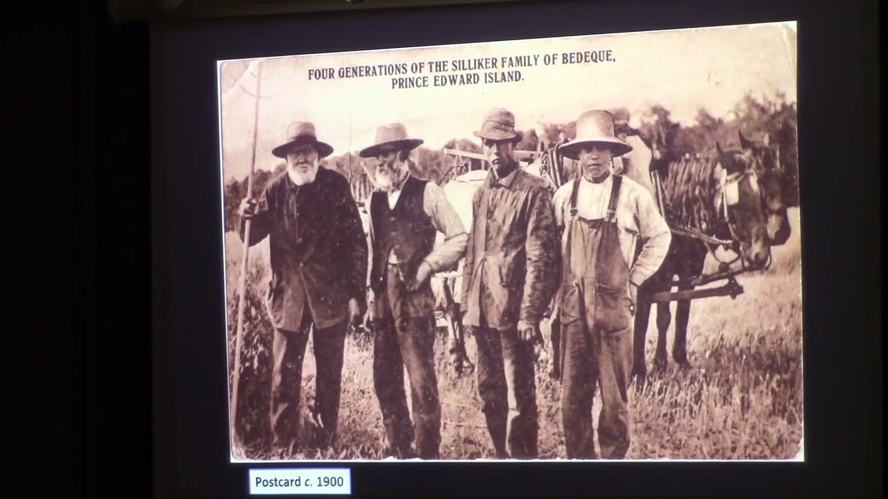 The Bedeque Harbour Loyalists