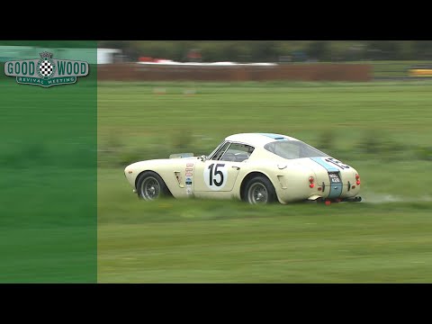 ferrari-250-swb-slides-sideways-onto-the-grass