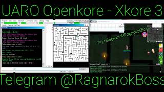 Ragnarok UARO | BOT For Uaro | Sell zeny for Uaro | sell VMware and Multi-client | bypass Gepard