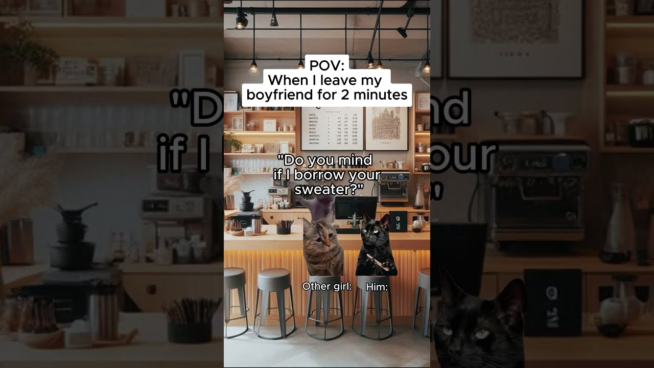CAT MEMES When I Leave My Boyfriend For 2 Minutes Shorts Catmemes Relatable