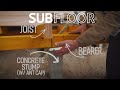 Insulated Subfloor Installation (Post termite damage)