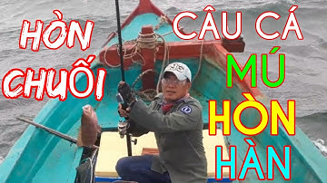 CÂU CÁ BIỂN/ CÂU CÁ MÚ/CÂU CÁ BÓNG MÚ CÙNG CẢNH ĐẸP ĐẢO HÒN HÀN @giangngofising
