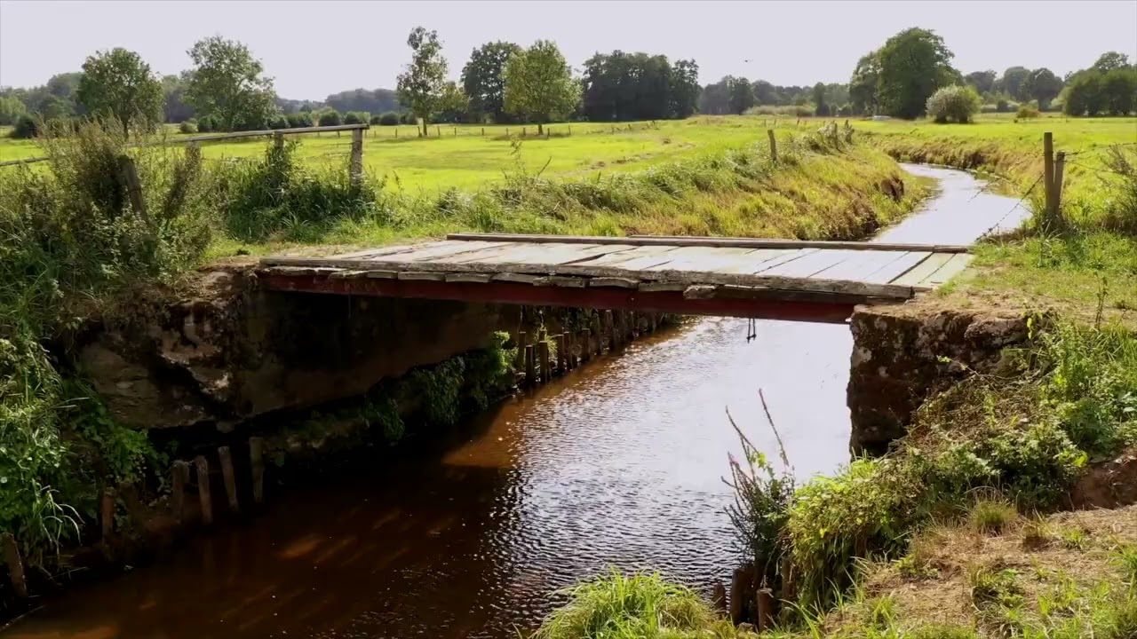 Pinnau dröhnen 2018