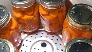 How to : Tfal 22q pressure canner from Amazon  pressure canning carrots