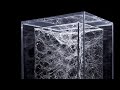 Tomás Saraceno Interview: The Art of Noticing