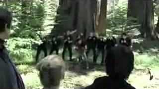 Eclipse parody the hillywood show