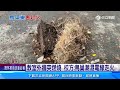 校園外牆突冒火光 「爆炸聲伴閃光」師生嚇壞｜三立新聞網 SETN.com