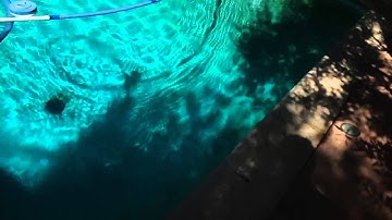 Zodiac T3 Automatic pool cleaner review