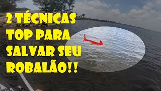 Robalo e Tubarao que bom que eu filmei se nao o pessoal nao acredita Tecnica inf