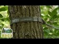 default - Eagles Nest Outfitters Atlas XL Hammock Suspension System