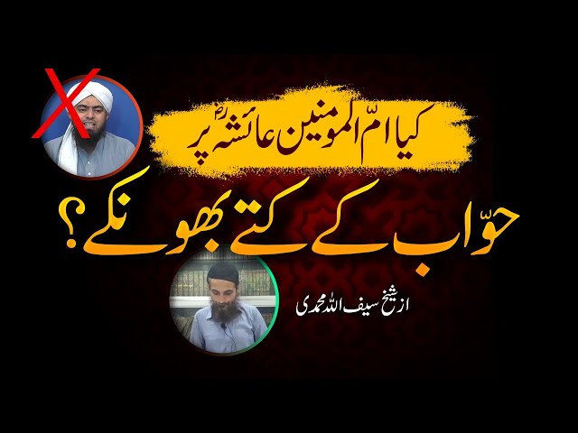 Kya (Um-Al-Mumineen) Par Hawaab Ke Kutty Bhoky (MuazAllah) by Saifullah Muhammadi class=