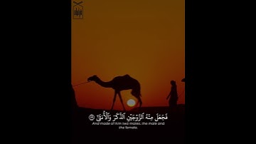 ﴿أَيَحسَبُ الإِنسانُ أَن يُترَكَ سُدًى﴾ آواخر سورة القيامة بصوت القارئ حمزة عبيد 🤍..