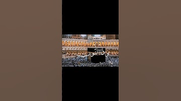 وذا النون | سورة الأنبياء #قران #قرآن #قران_كريم #quran #holyquran #اكسبلور #لايك #المصحف
