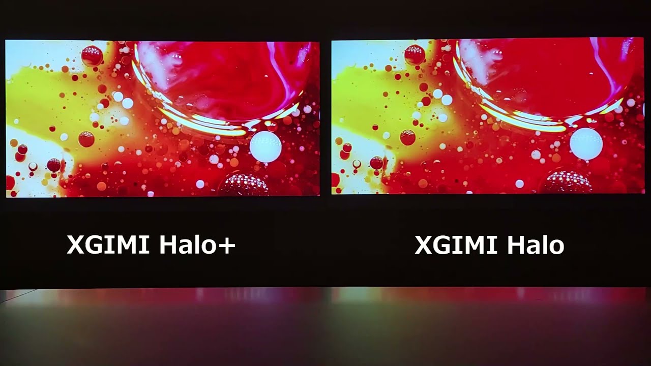 投影比較】XGIMI Halo+ vs XGIMI Halo - YouTube