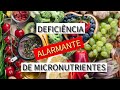 Deficiência ALARMANTE de micronutrientes!