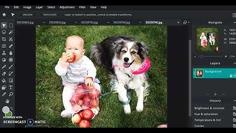 How to blur your background in Pixlr
