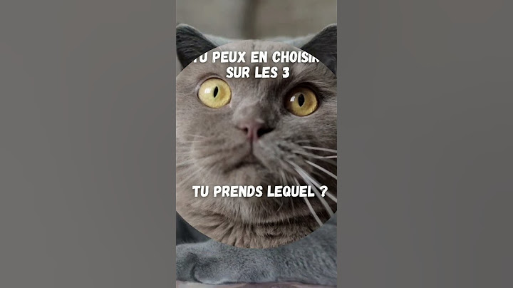 perso je prend le 3 😍 et vous ? #chat #chatmignon #choix #chartreux #bengal #sphynx #chats